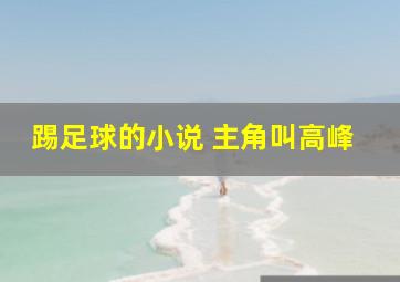 踢足球的小说 主角叫高峰